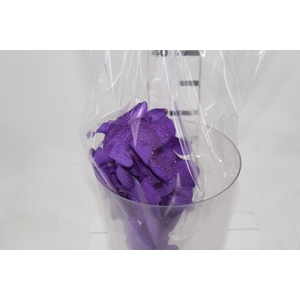 FLOR DE VANDA ROXO