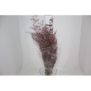 LIMONIUM DESIDRATADO TINTURADO ROSA 070 CM