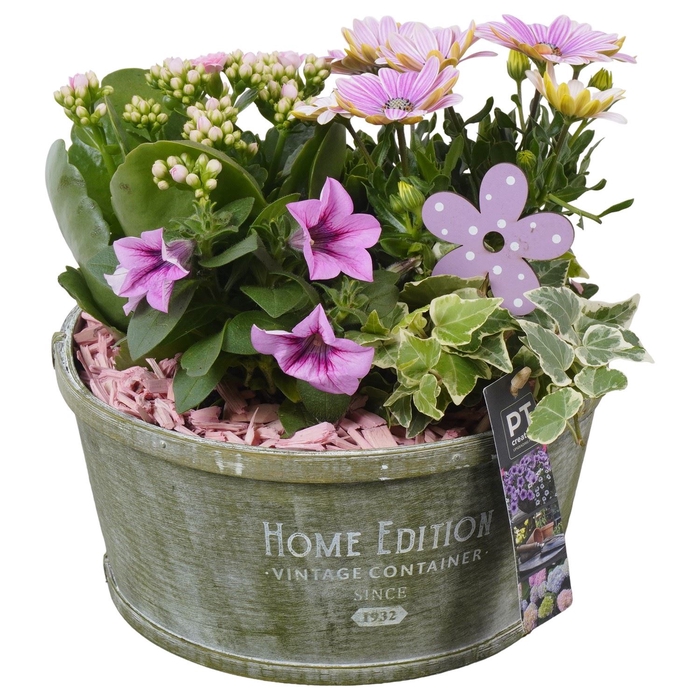 <h4>Arr.   Perkplanten H%</h4>