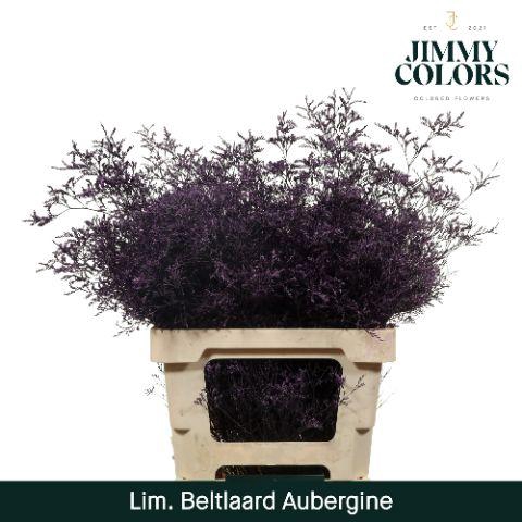 <h4>Lim Bel L70 Aubergine</h4>