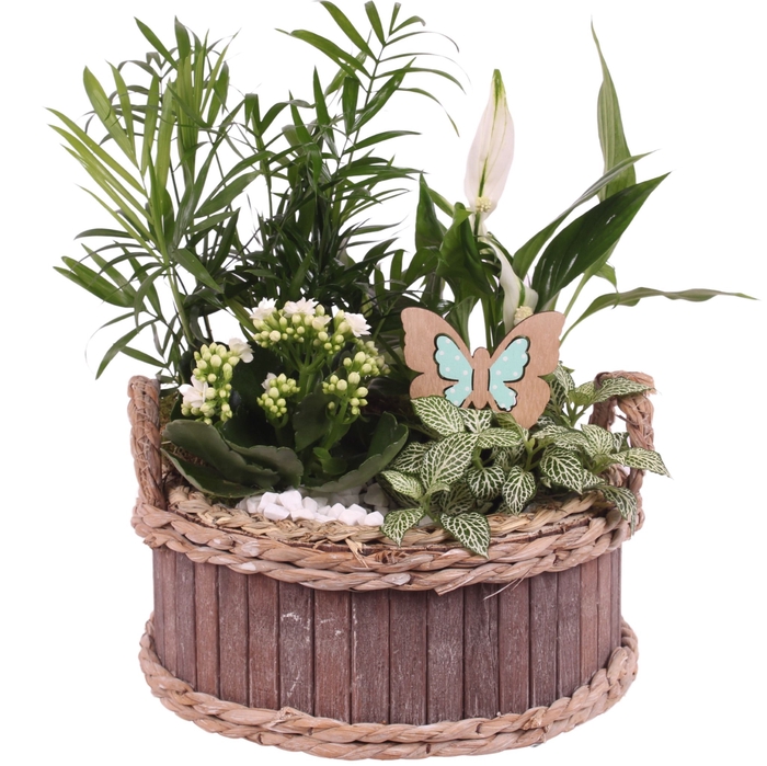 <h4>Opm Summer Arr. Indoor Wooden Waterhyacinth Rim</h4>