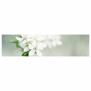 Labels Card 20*5cm x20 Blank
