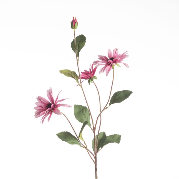 <h4>AF Rudbeckia L83cm Pink</h4>