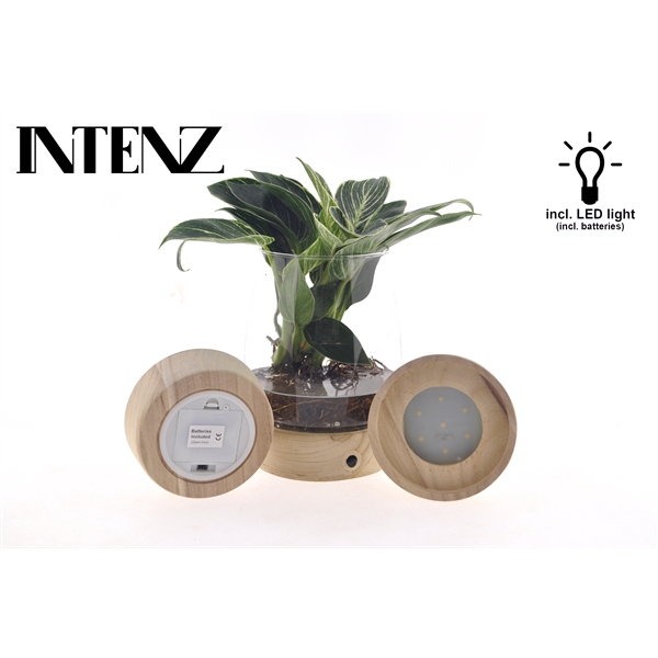 <h4>White Wave in Kingston glas + LED - levertijd: 24 uur</h4>