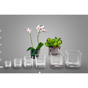 GLAS CUBE 12*12*12