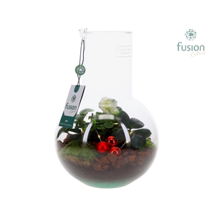 Green Bottle Suzanne Medium Kerst met Helleborus