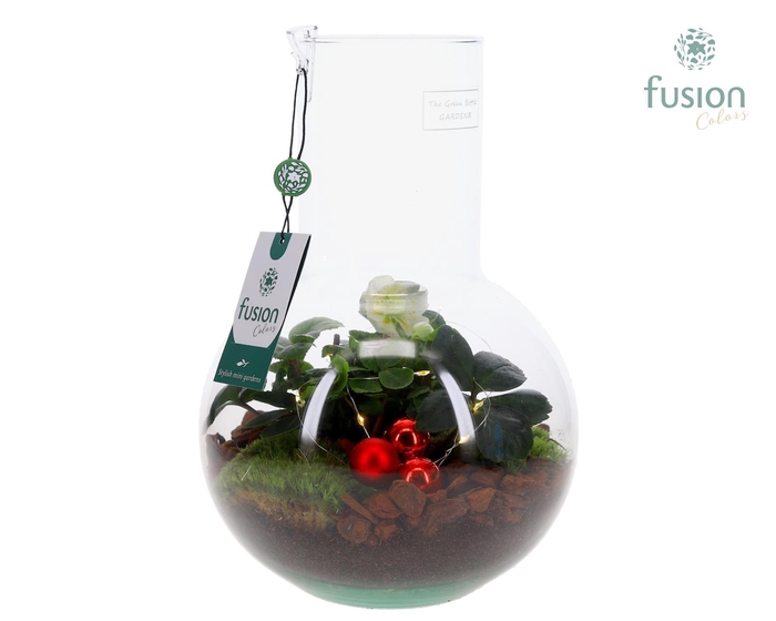 <h4>Green Bottle Suzanne Medium Kerst met Helleborus</h4>