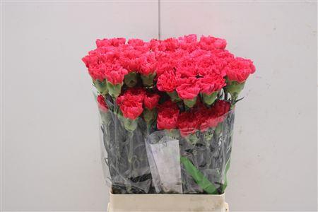 <h4>Di St Mandalay</h4>