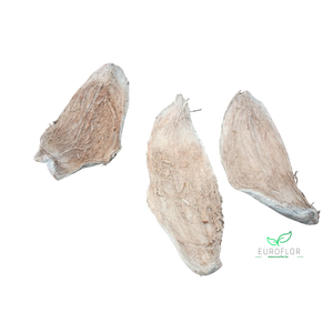 COCO HUSK 4,5-6X19,5CM 15PCS WHITE WASH