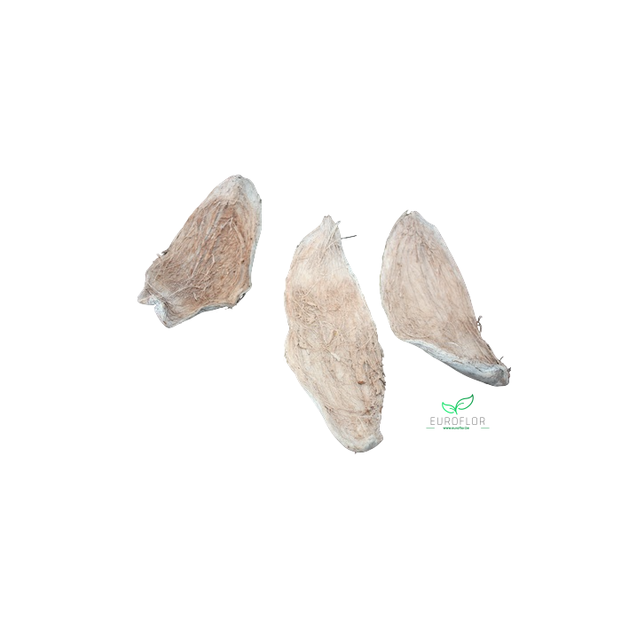 <h4>COCO HUSK 4,5-6X19,5CM 15PCS WHITE WASH</h4>