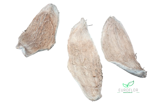 COCO HUSK 4,5-6X19,5CM 15PCS WHITE WASH