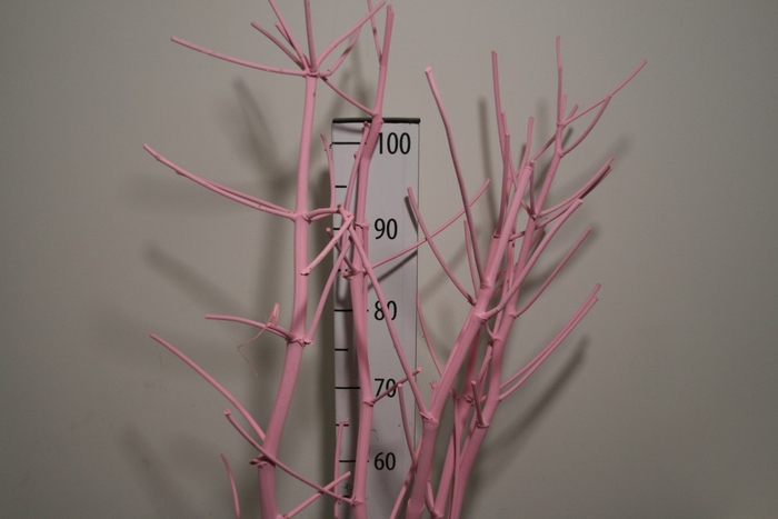 Branch 100cm Snow P Stem