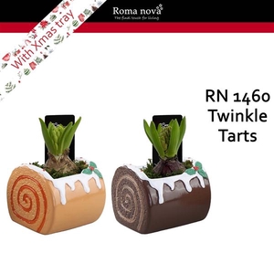 Arrangementen Hyacinthus 6%