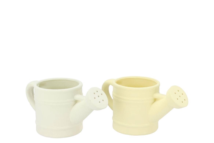 <h4>Chai Green Mix Pot Can Ass 22x11x11cm</h4>