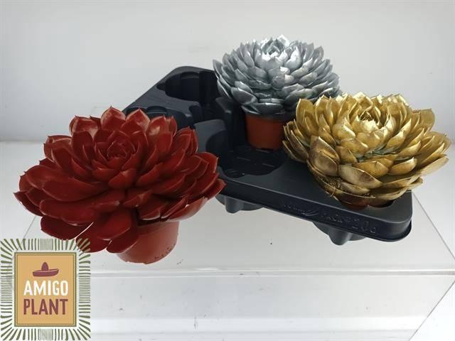 <h4>ECHEV GRANDE CINZA</h4>