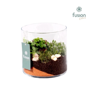 Glazen cilindervaas groen met Groen plantjesD15 H15