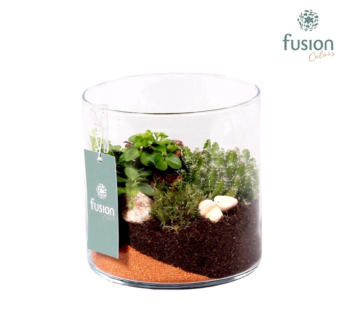 <h4>Glazen cilindervaas groen met Groen plantjesD15 H15</h4>