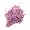 Hill Flower Lilac Wash