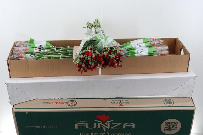 <h4>Di Symply Love X20 Box</h4>