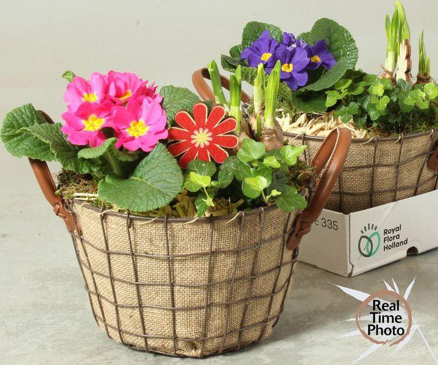 <h4>ARR MESH BOWL X2</h4>