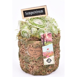 Cement pot label groen/bruin 12cm