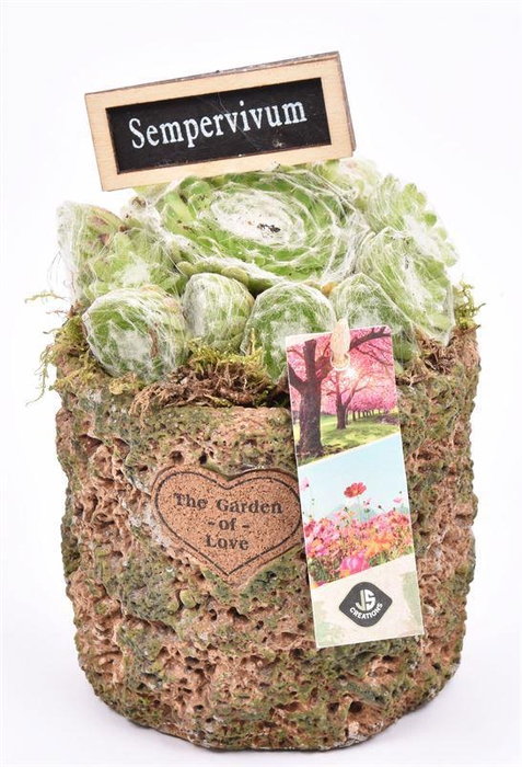 <h4>Cement pot label groen/bruin 12cm</h4>