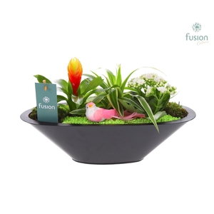 Schaal zink antraciet met Arrangement