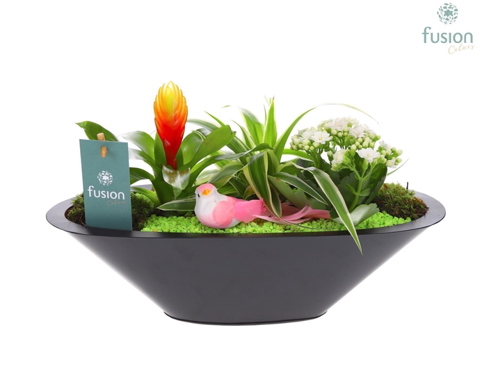 <h4>Schaal zink antraciet met Arrangement</h4>