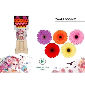 Germini Mix zwart hart Diamond