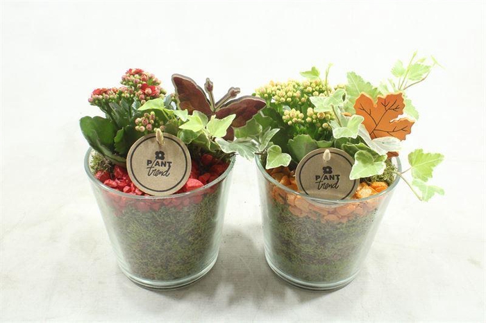 <h4>arr2 PT POT ZWAAR ORANGE/ROOD</h4>