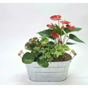 assemblage pot zinc