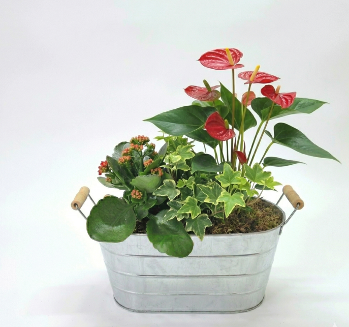 <h4>assemblage pot zinc</h4>