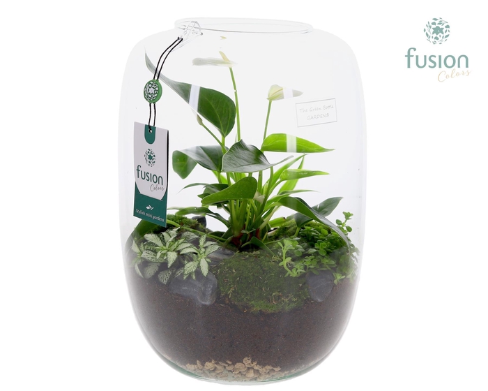 <h4>Green Bottle Isabella XLarge met Anthurium arrangement</h4>