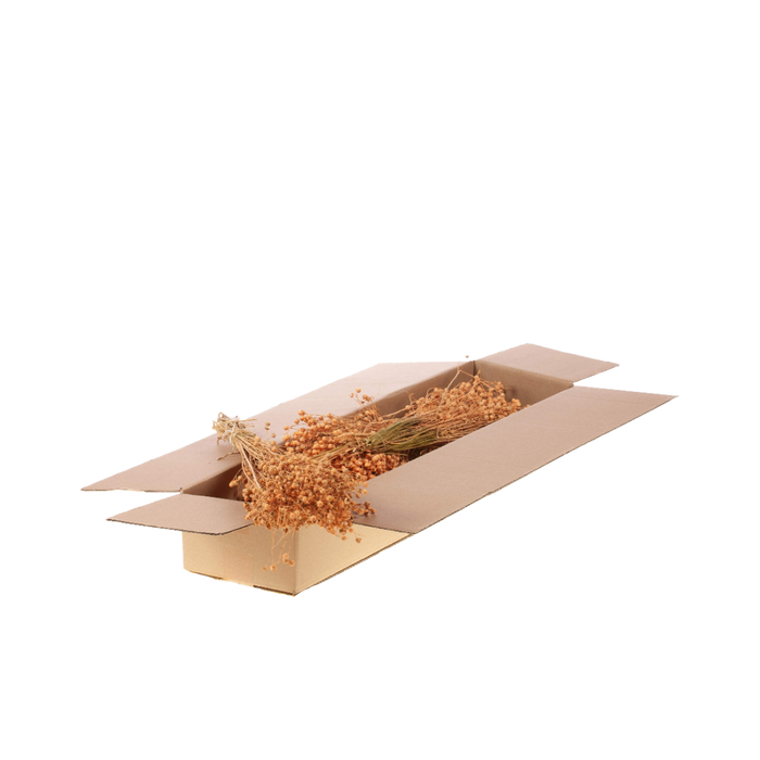 <h4>Linum Sb Coral Misty</h4>