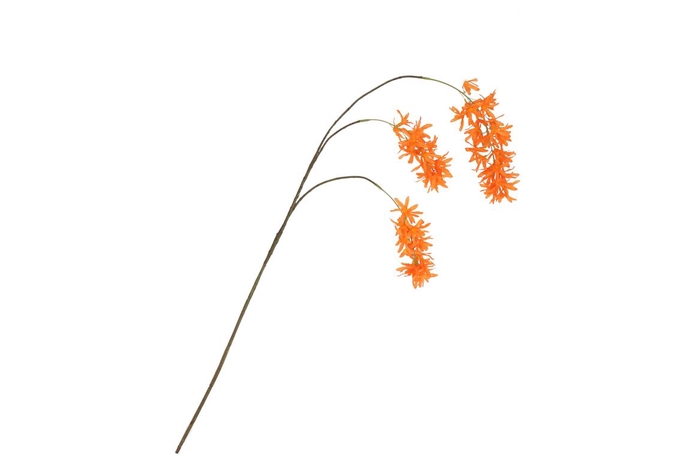 <h4>Silk Wisteria Orange 93cm</h4>