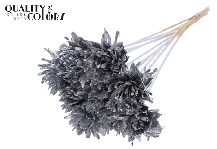 Shola Slice Pine 6cm on stem Silver