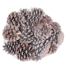 Pine cone 1 kg in net Frosted White
