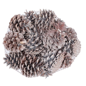 Pine cone 500gr in net Frosted White