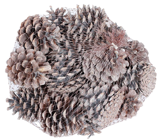 Pine cone 1 kg in net Frosted White