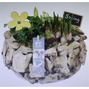 3899 XL LATJES ROND BM