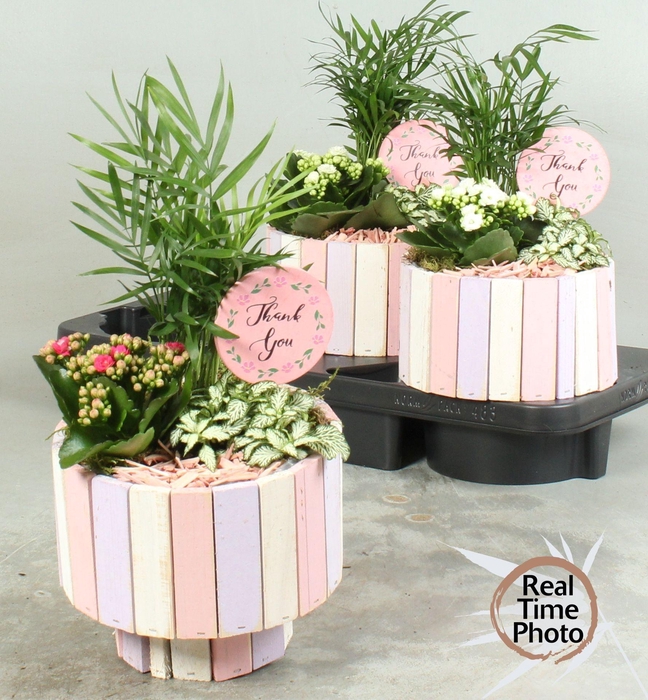 <h4>ARR KAMERPL</h4>