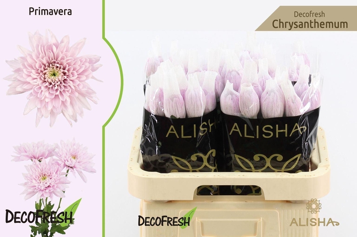 <h4>CHR G OVERIG</h4>