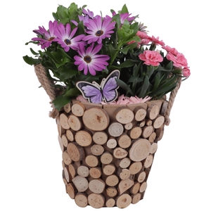 Spring Flower Arr. Outdoor Wooden Pot Round Tree Chucks Ø20cm2PP
