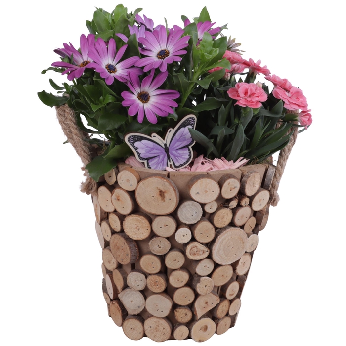 <h4>Spring Flower Arr. Outdoor Wooden Pot Round Tree Chucks Ø20cm2PP</h4>