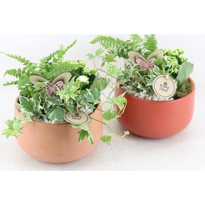 arr2 PL - Ker. schaal terra mix x6 - wit