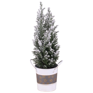 Opm Christmas Arr. Conifer Zinc Pot Round Star Des