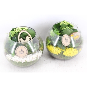 arr2 PL - Glas bol x5 - geel/wit