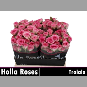 R TR TRALALA