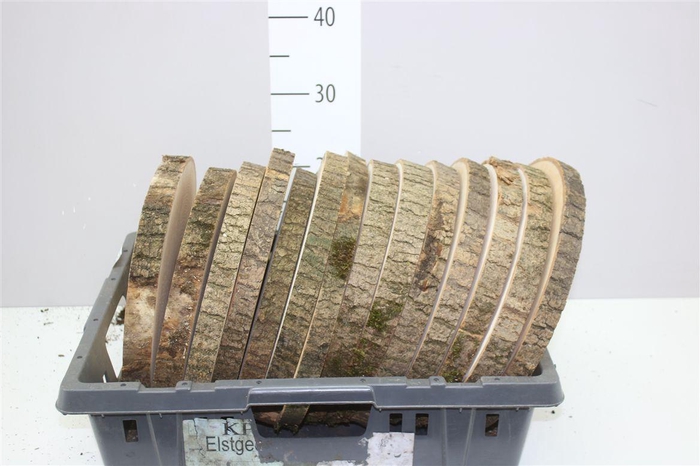 <h4>Houten Boomschijf 30cm</h4>