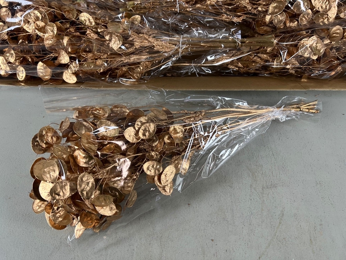 <h4>DF Lunaria Bs Antique Gold</h4>